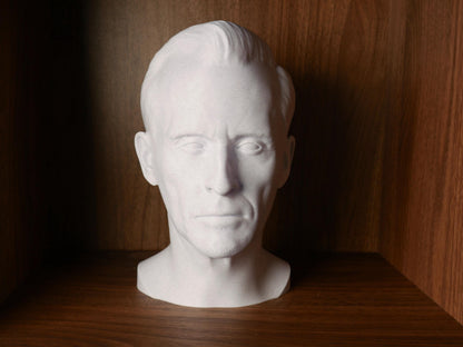 Robert Knepper Bust – 3D Printed Sculpture | Detailed Actor Statue for Home Office Decor