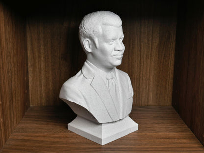 Neil deGrasse Tyson Bust - Astrophysicist Sculpture | Science Decor Gift