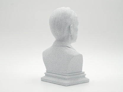 Bill Nye Bust Sculpture - 3D Printed Science Educator Statue for Study Room