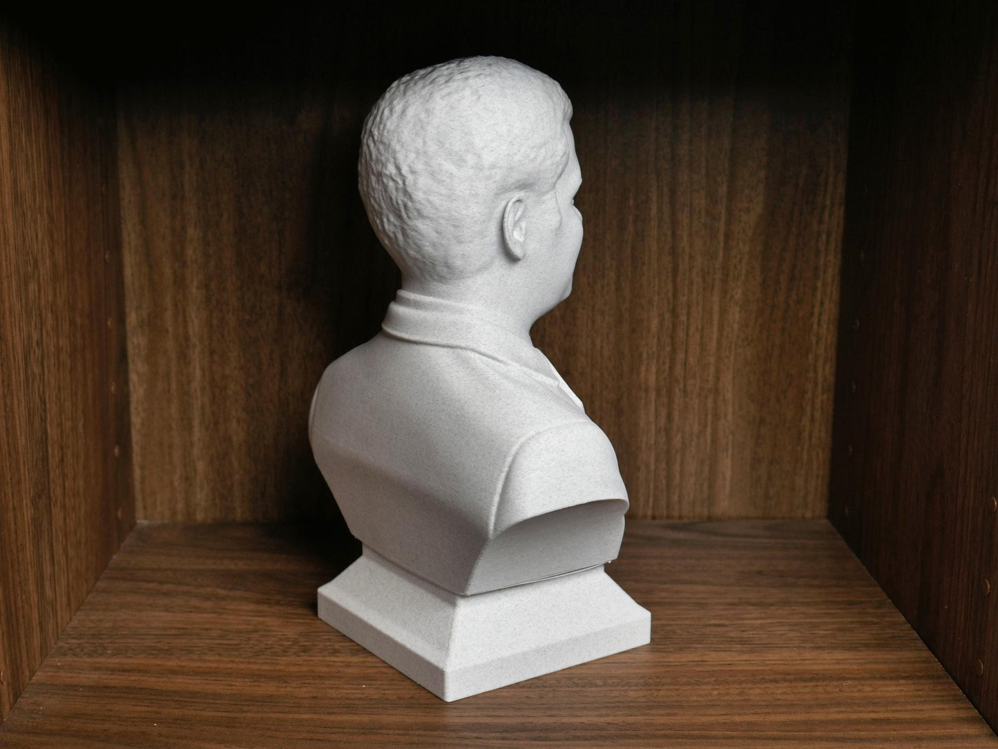 Neil deGrasse Tyson Bust - Astrophysicist Sculpture | Science Decor Gift