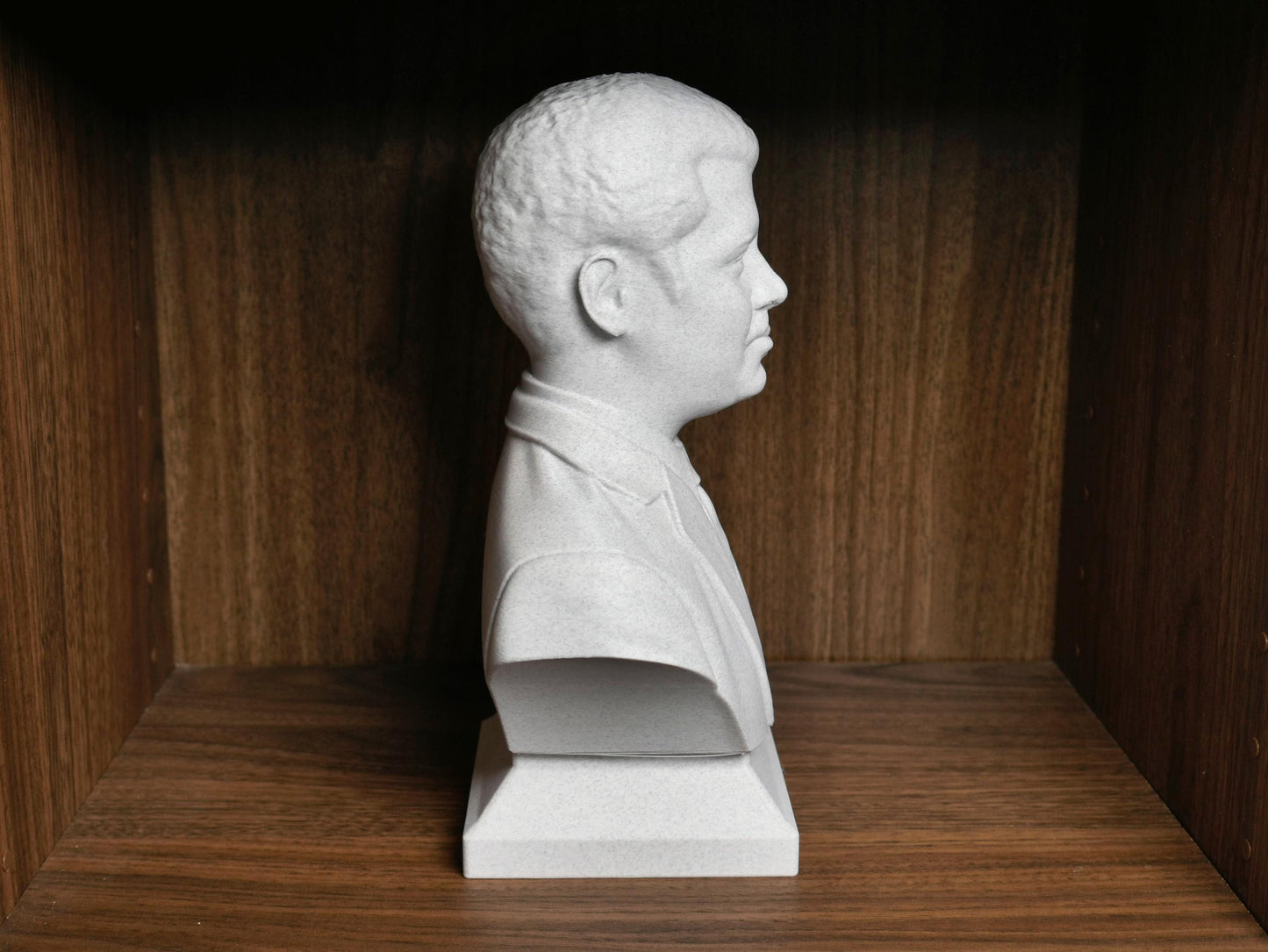Neil deGrasse Tyson Bust - Astrophysicist Sculpture | Science Decor Gift