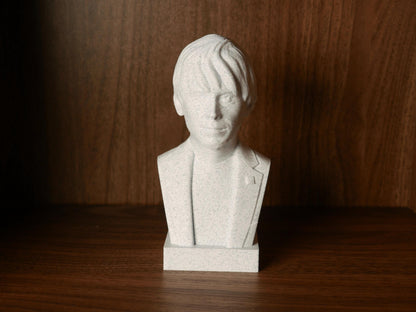 Brian Cox Bust - 3D Printed Physicist Statue | Cosmic Decor for Home Office