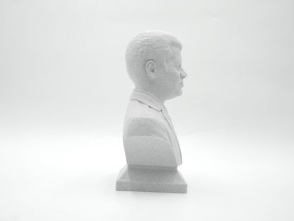 Neil deGrasse Tyson Bust - Astrophysicist Sculpture | Science Decor Gift