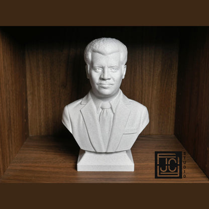 Neil deGrasse Tyson Bust - Astrophysicist Sculpture | Science Decor Gift