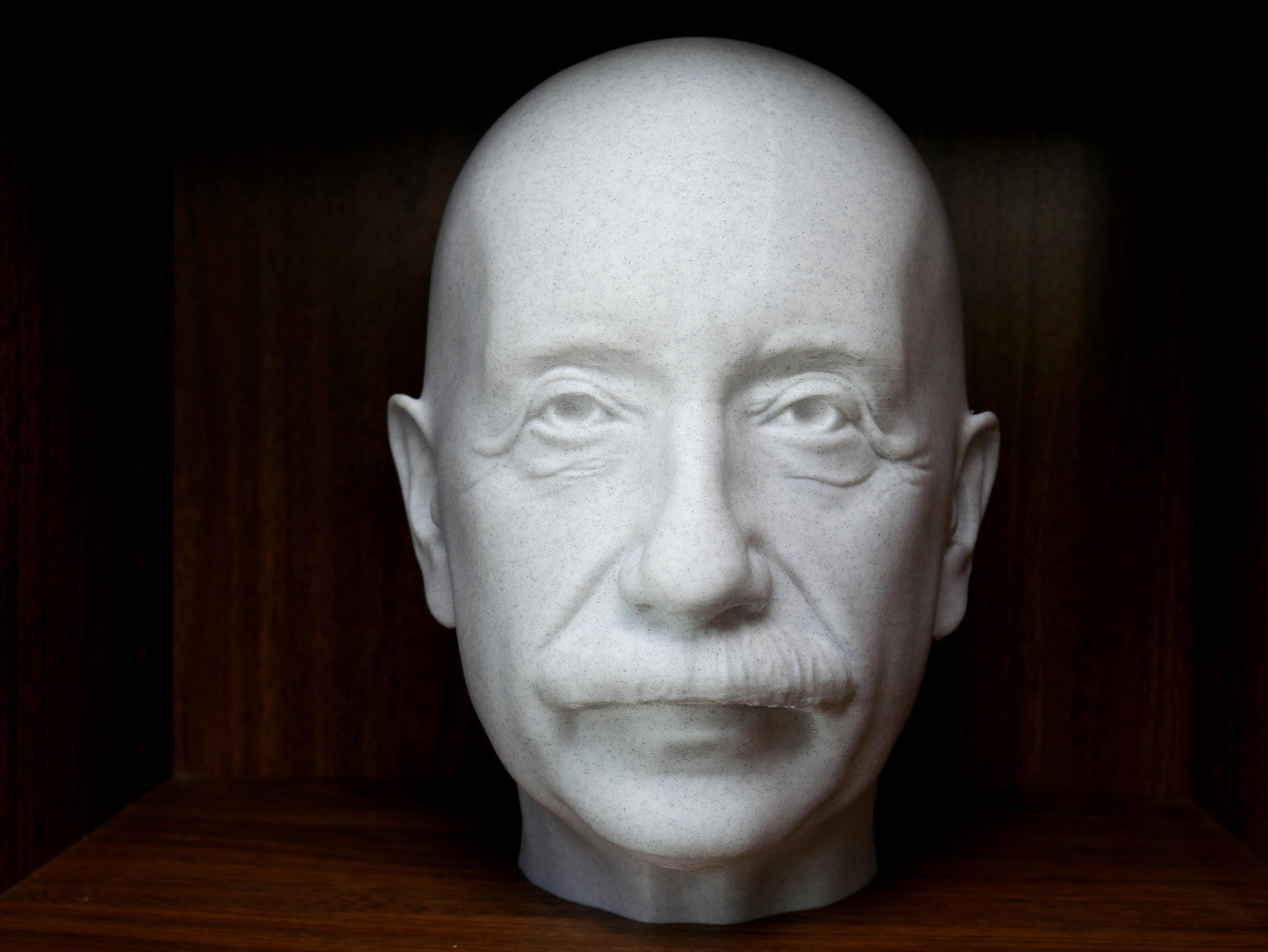 Albert Einstein Bust – Scientist Statue 3D Printed | Physics Decor Gift
