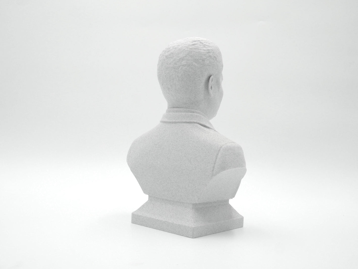 Neil deGrasse Tyson Bust - Astrophysicist Sculpture | Science Decor Gift