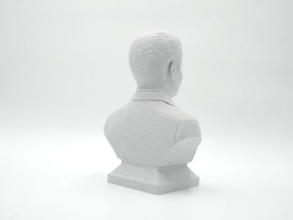 Neil deGrasse Tyson Bust - Astrophysicist Sculpture | Science Decor Gift