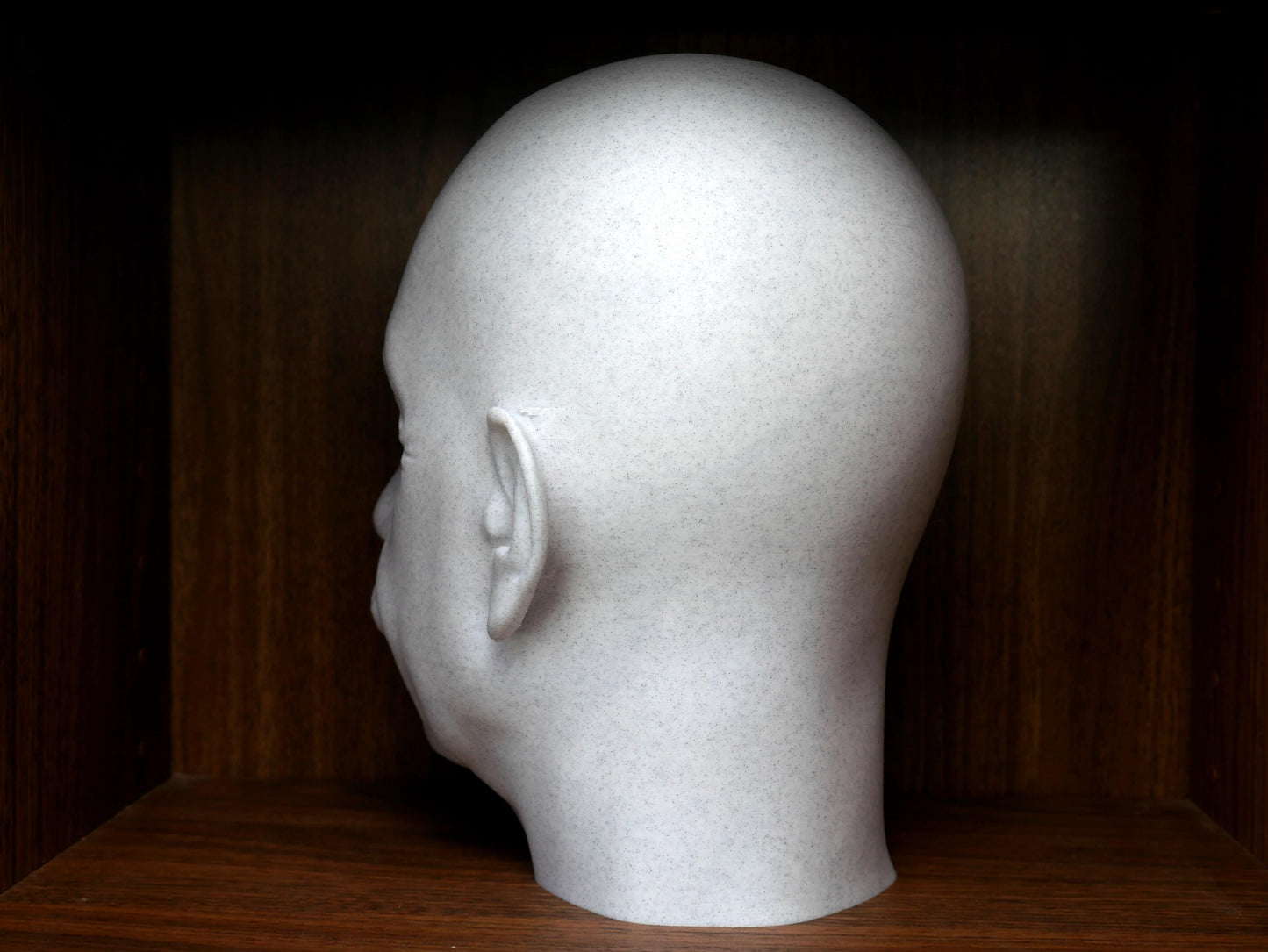 Albert Einstein Bust – Scientist Statue 3D Printed | Physics Decor Gift