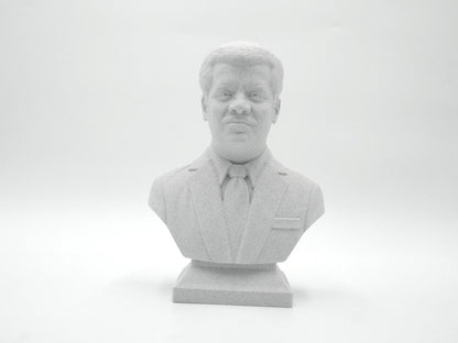 Neil deGrasse Tyson Bust - Astrophysicist Sculpture | Science Decor Gift