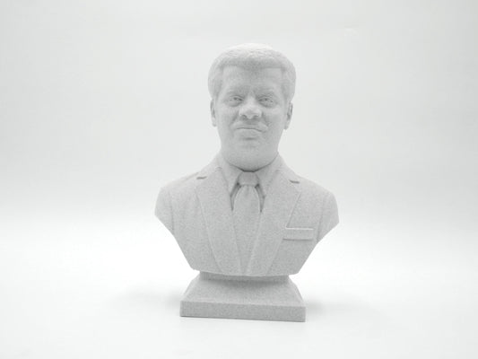 Neil deGrasse Tyson Bust - Astrophysicist Sculpture | Science Decor Gift