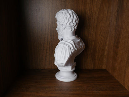 Marcus Aurelius Bust | Roman Emperor Statue for Office & Library Display