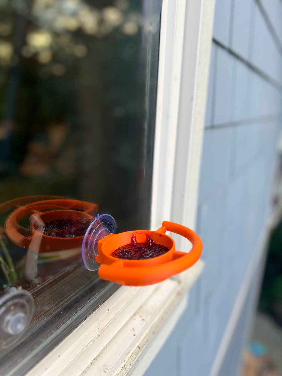 Bird Feeder Window Suction Cup Holder for Seeds Jelly or Avian Food Outdoor Rated with ASA Filament 3D Printed