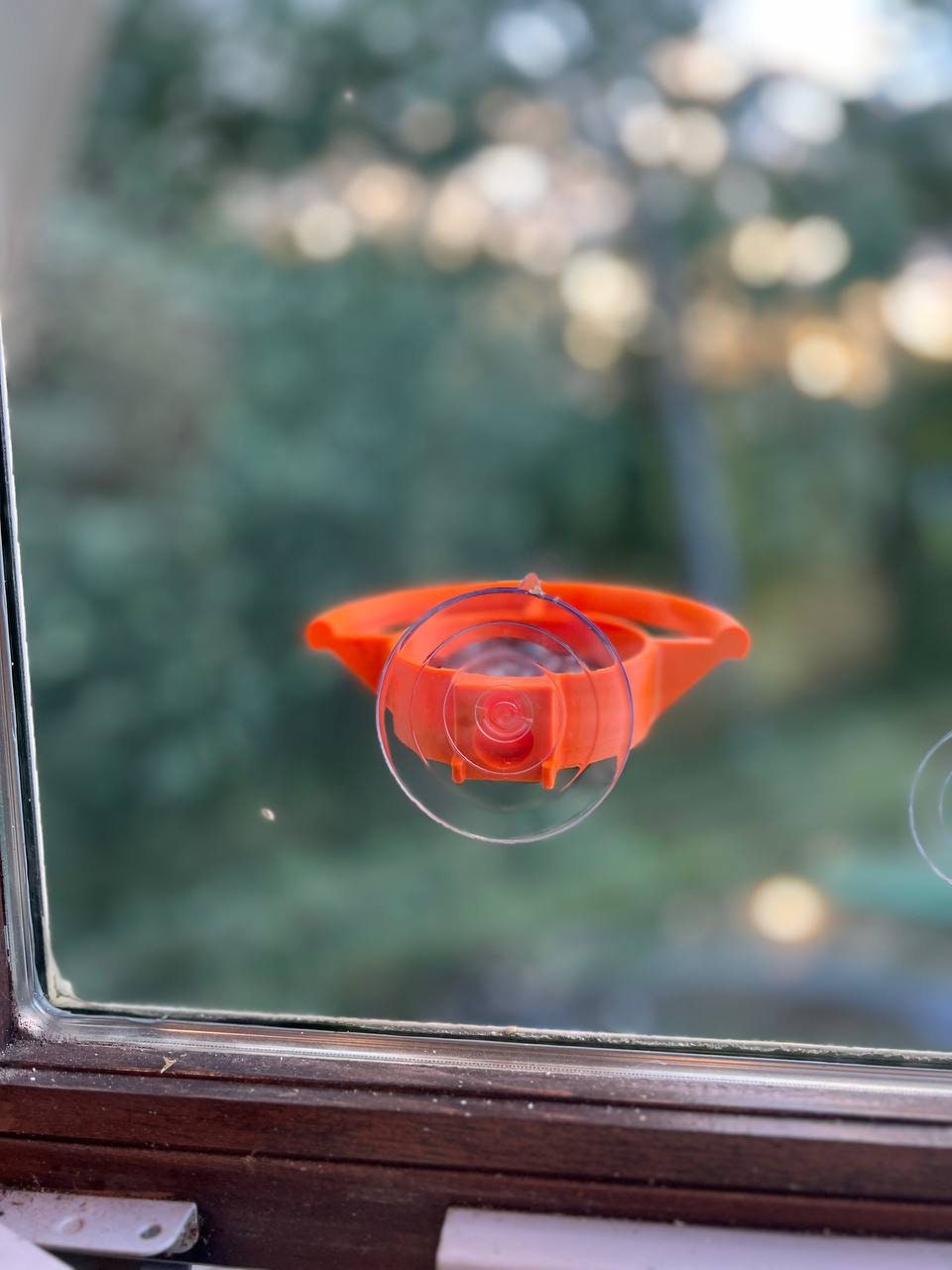 Bird Feeder Window Suction Cup Holder for Seeds Jelly or Avian Food Outdoor Rated with ASA Filament 3D Printed